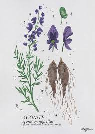 Wolfsbane
